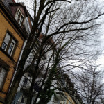 IMG_20190305_152513_595