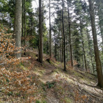IMG_20190306_111041_088
