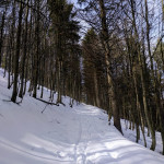 IMG_20190306_124214_189