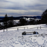 IMG_20190306_125356_560