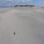 Australia-11- IMG_20181222_163806_238